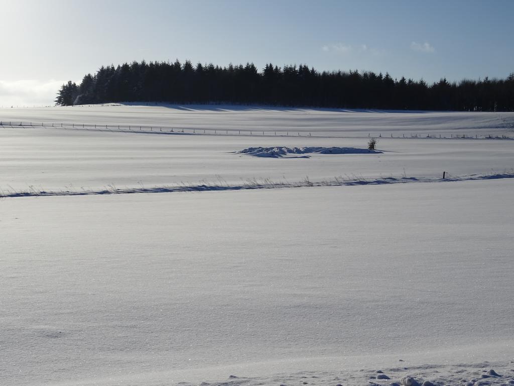 Deine-Eifel-Ferienwohnung Feusdorf Exterior foto